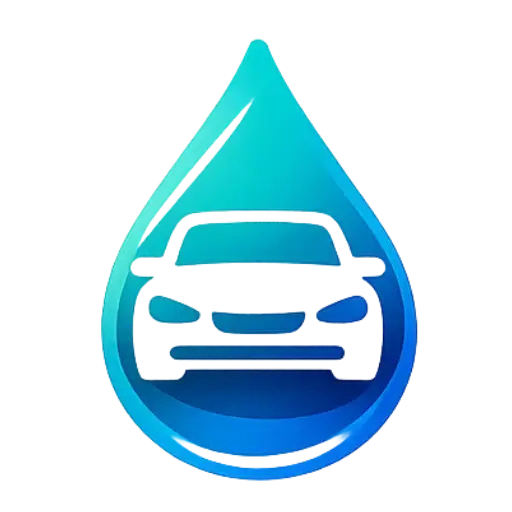 Lavage auto à domicile Palinges
